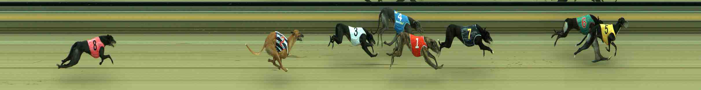 Photo finish for Sale Race 8