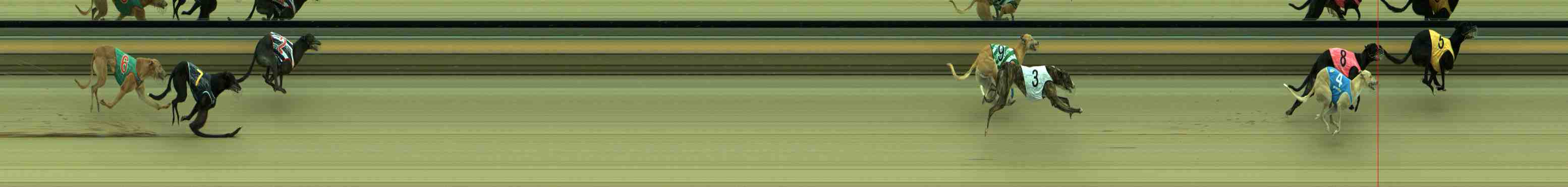 Photo finish for Sale Race 9
