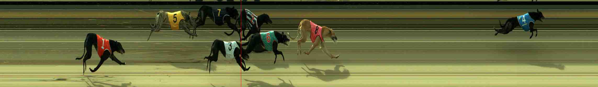 Photo finish for Sale Race 10