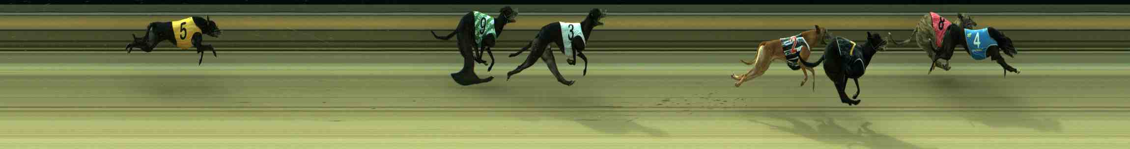 Photo finish for Sale Race 11