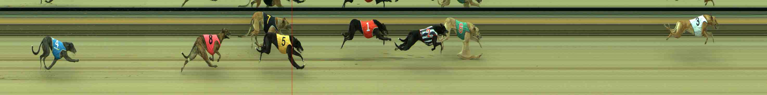 Photo finish for Sale Race 12