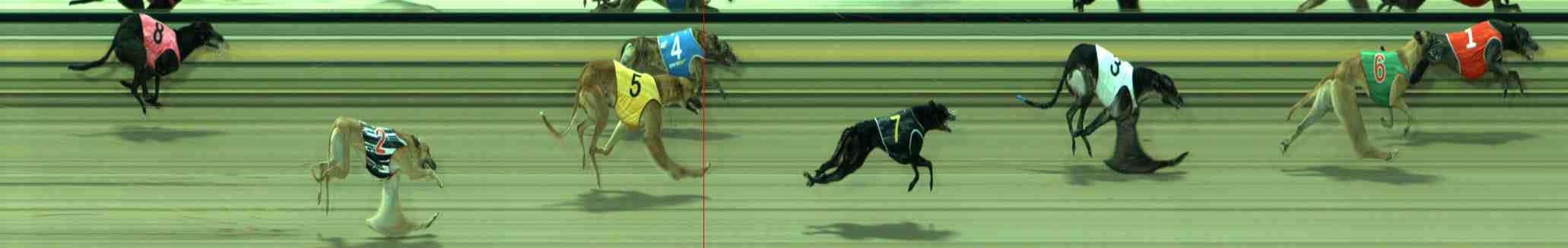 Photo finish for Sale Race 2