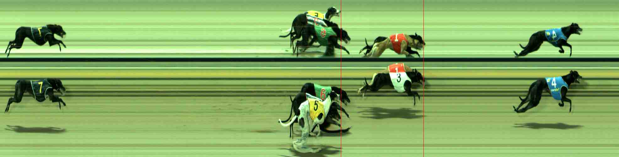 Photo finish for Sale Race 3