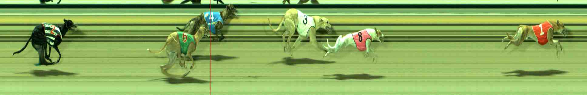 Photo finish for Sale Race 4