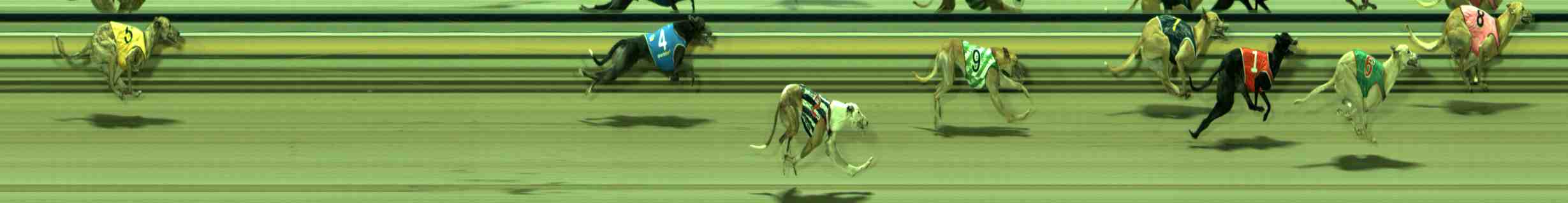 Photo finish for Sale Race 5