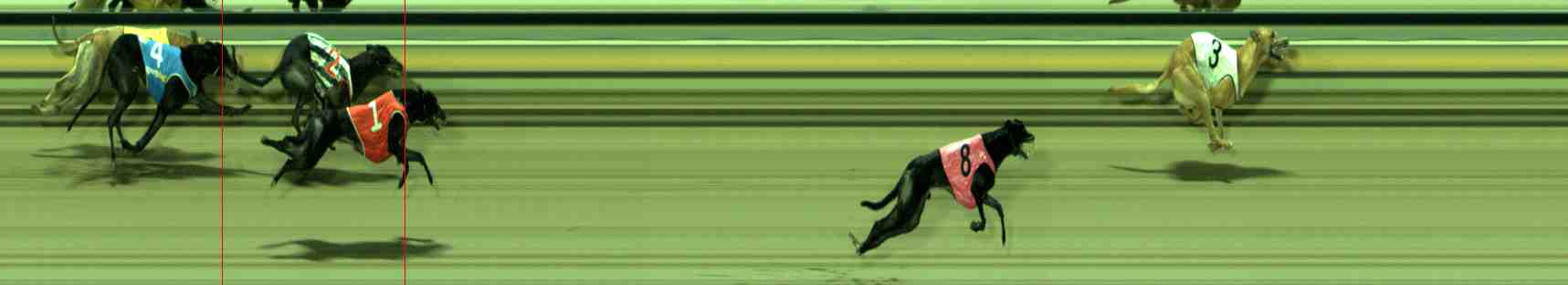 Photo finish for Sale Race 6