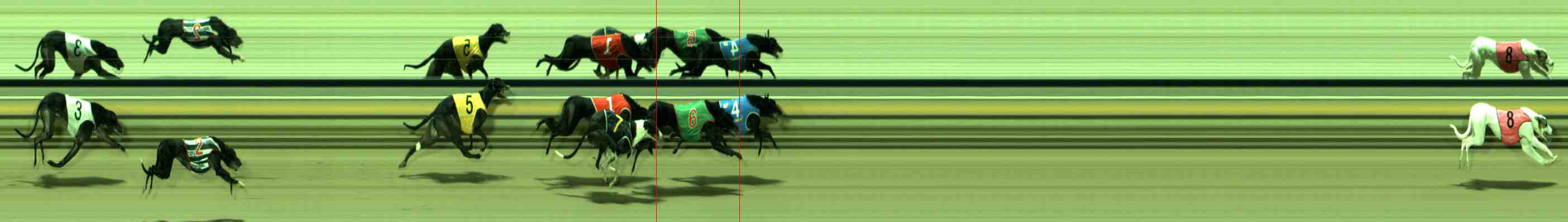 Photo finish for Sale Race 8
