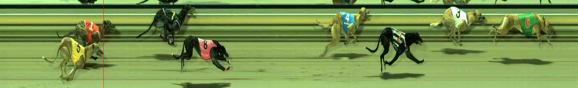 Photo finish for Sale Race 9