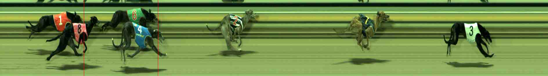 Photo finish for Sale Race 10