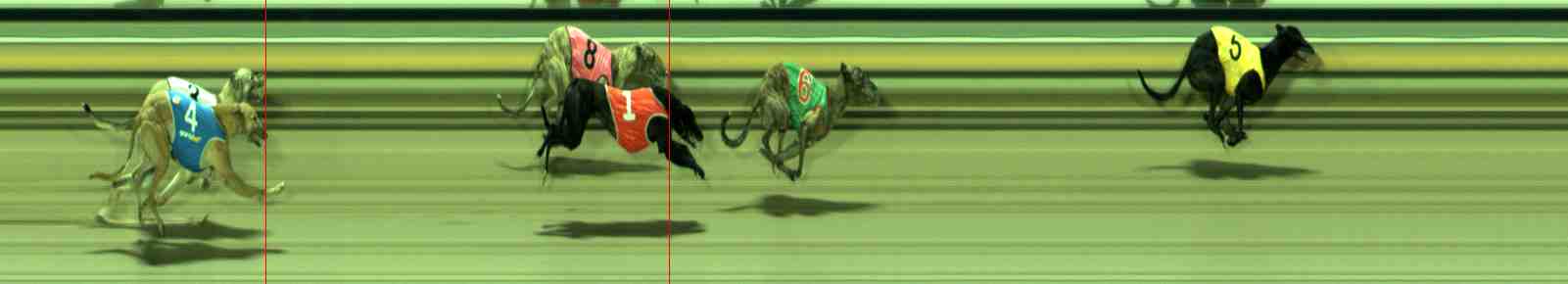 Photo finish for Sale Race 11