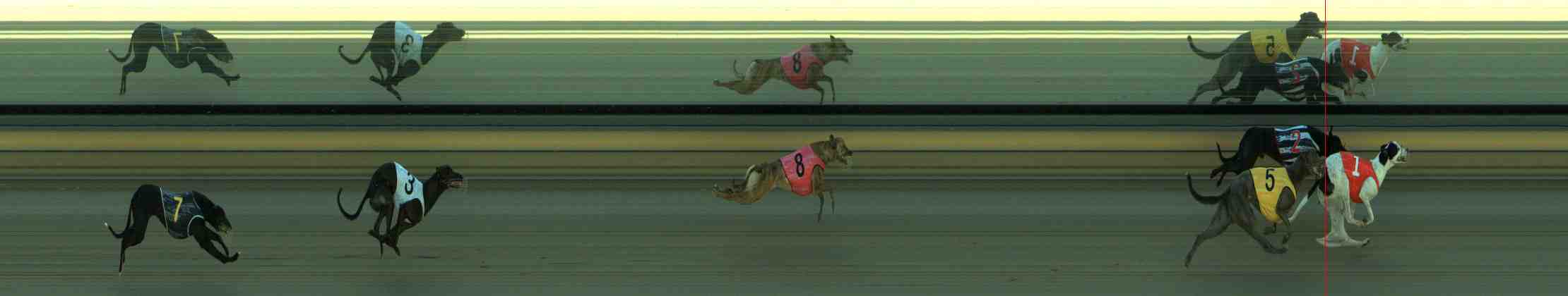 Photo finish for Sale Race 1