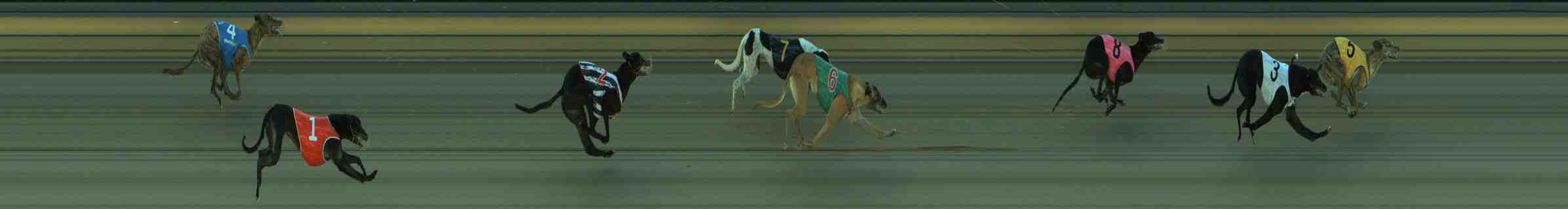 Photo finish for Sale Race 2