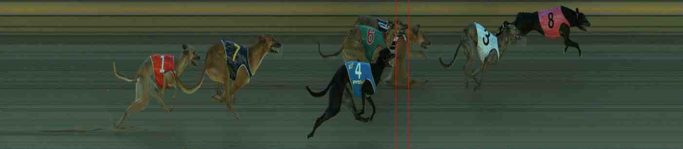Photo finish for Sale Race 3