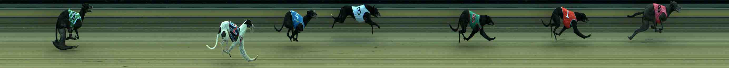 Photo finish for Sale Race 4
