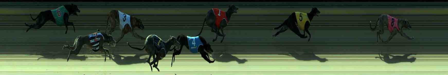 Photo finish for Sale Race 5