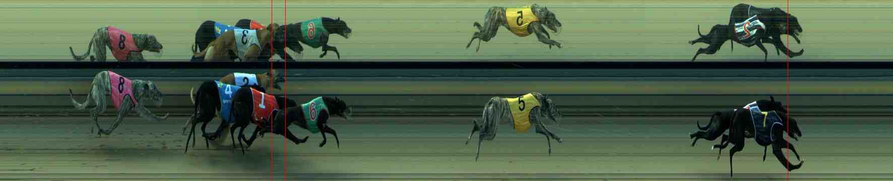 Photo finish for Sale Race 6