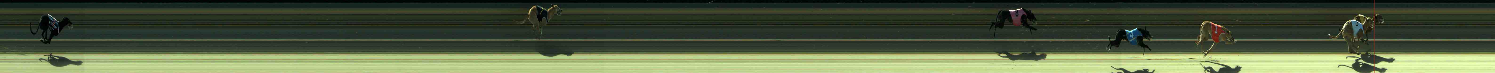 Photo finish for Sale Race 7