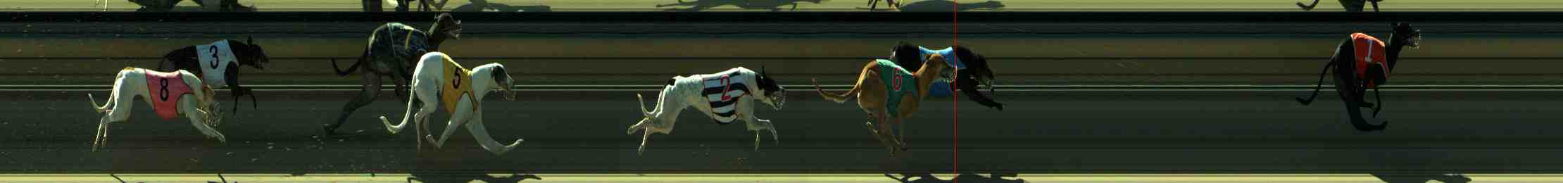 Photo finish for Sale Race 8