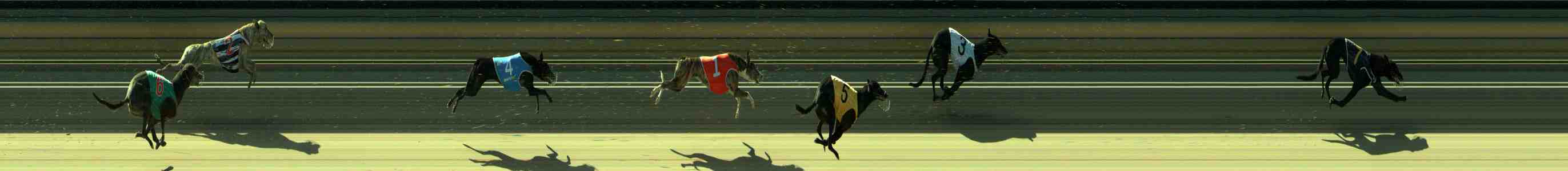 Photo finish for Sale Race 9