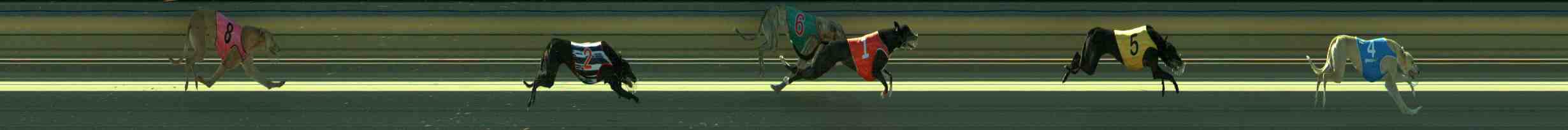 Photo finish for Sale Race 10