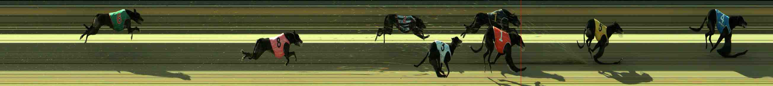 Photo finish for Sale Race 12