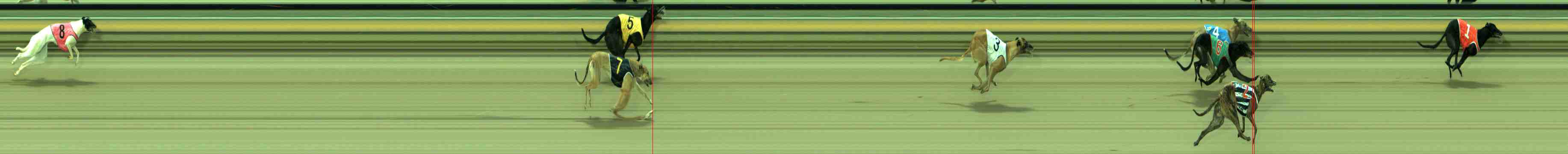 Photo finish for Sale Race 1