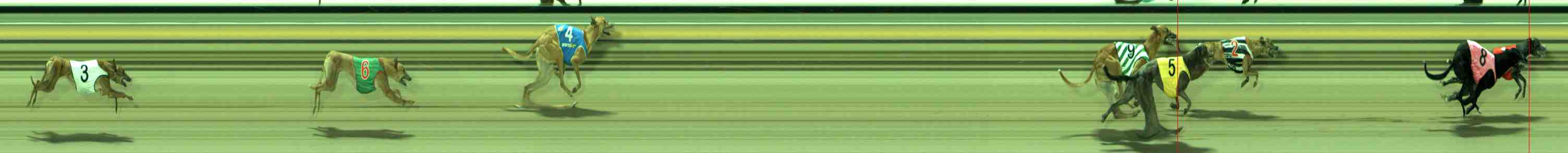 Photo finish for Sale Race 2