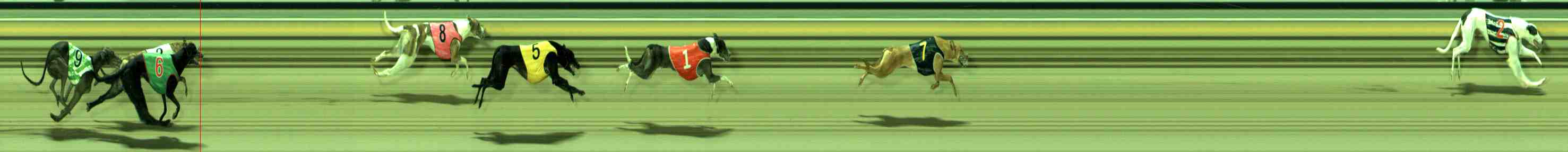 Photo finish for Sale Race 3