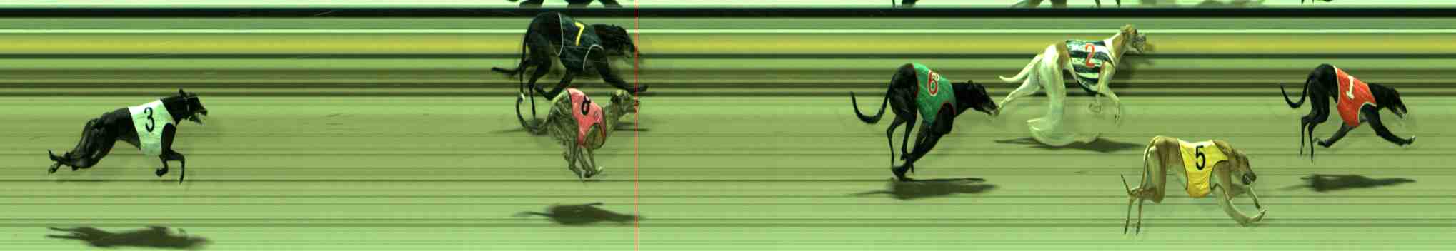Photo finish for Sale Race 4