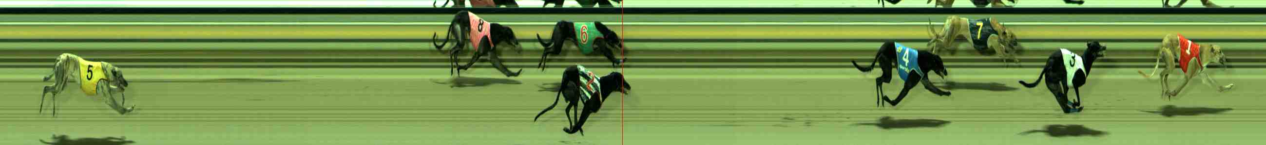 Photo finish for Sale Race 5