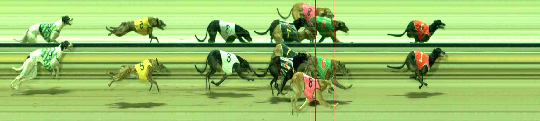 Photo finish for Sale Race 6