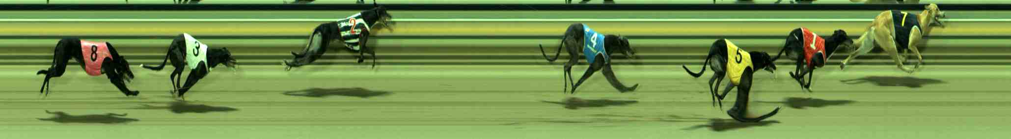 Photo finish for Sale Race 7
