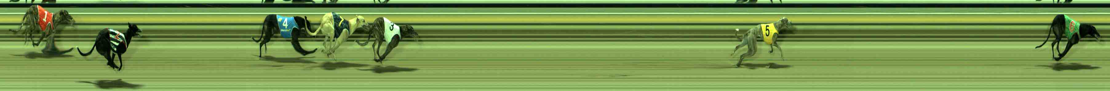Photo finish for Sale Race 8