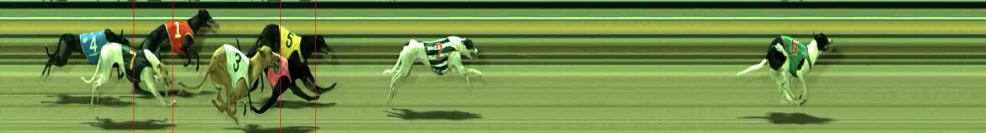 Photo finish for Sale Race 9