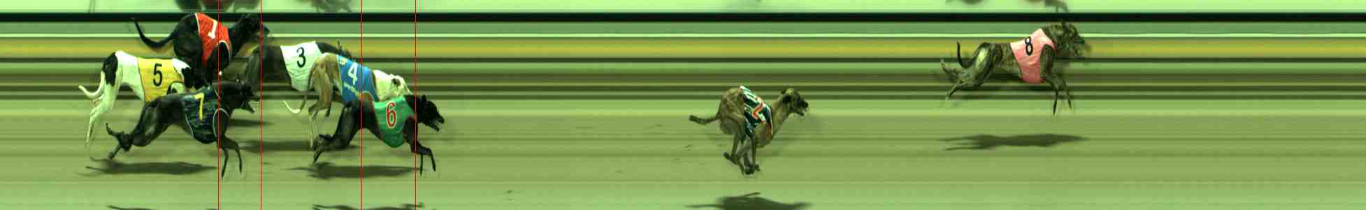 Photo finish for Sale Race 10