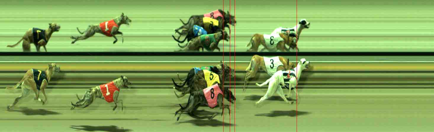 Photo finish for Sale Race 11