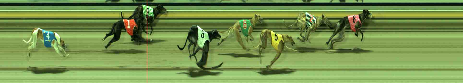 Photo finish for Sale Race 12