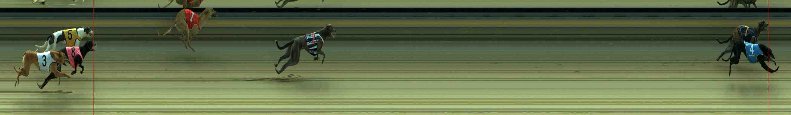 Photo finish for Sale Race 2