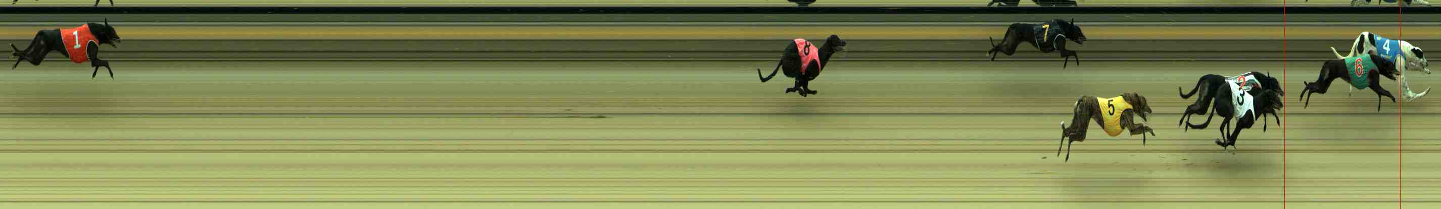 Photo finish for Sale Race 3