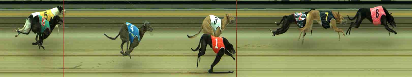 Photo finish for Sale Race 4