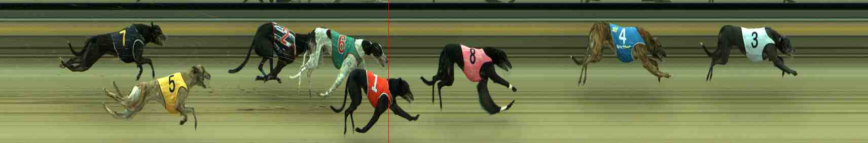 Photo finish for Sale Race 5