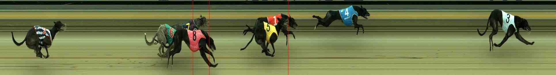 Photo finish for Sale Race 6