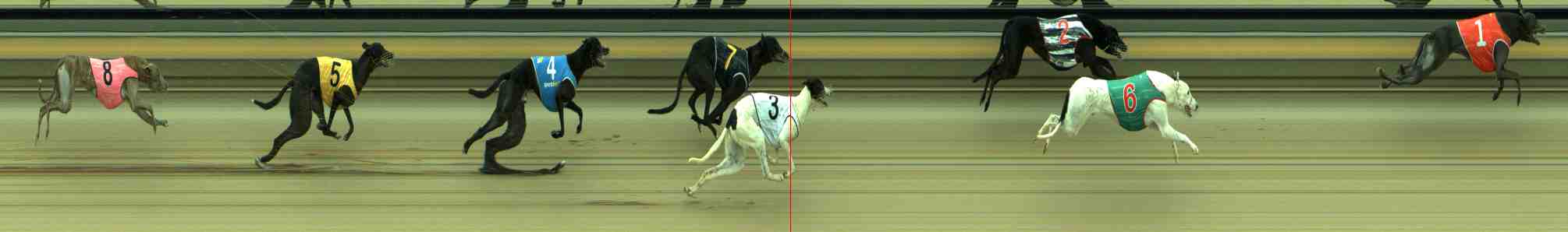 Photo finish for Sale Race 7