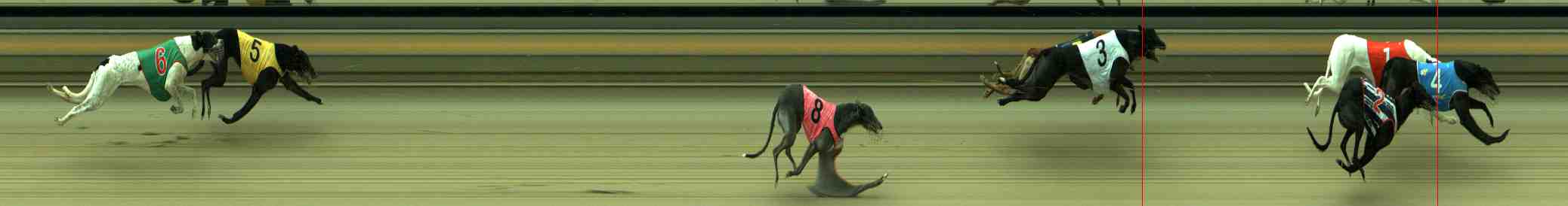 Photo finish for Sale Race 8