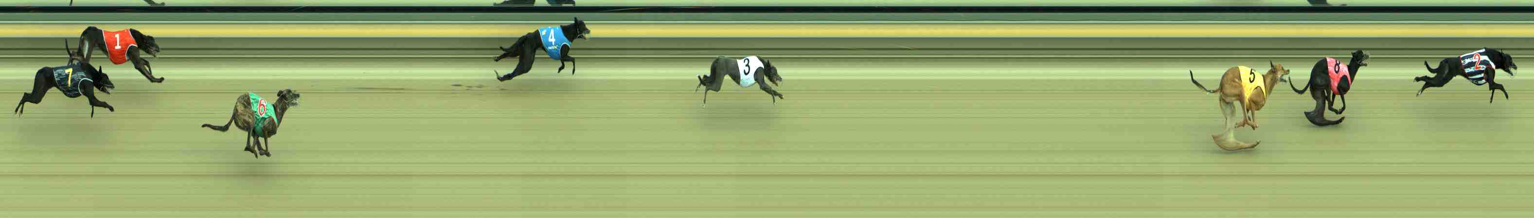 Photo finish for Sale Race 9