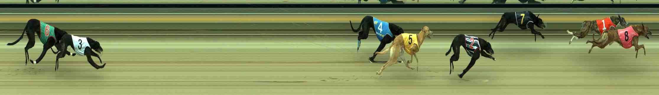 Photo finish for Sale Race 10