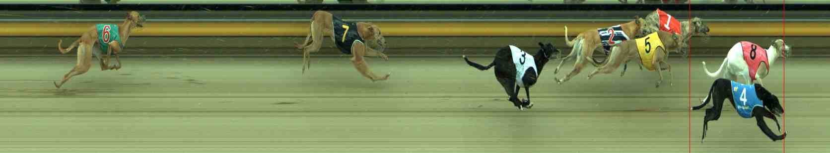 Photo finish for Sale Race 11