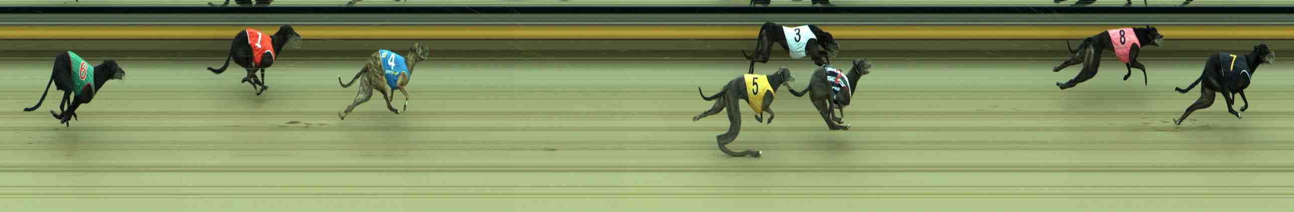 Photo finish for Sale Race 12