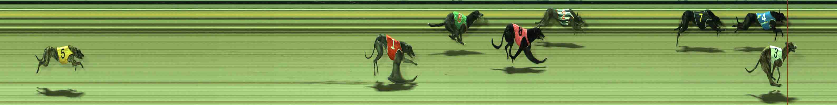 Photo finish for Sale Race 2