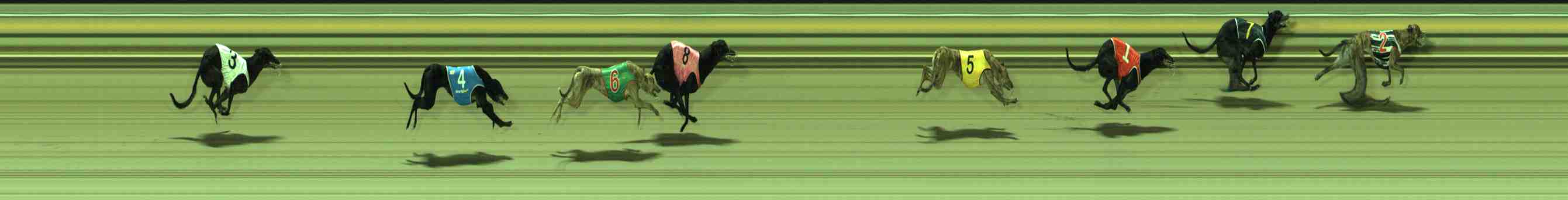 Photo finish for Sale Race 3